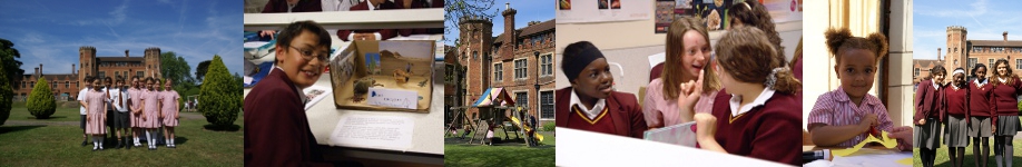 Wickham Court School